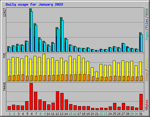 Daily usage for January 2022
