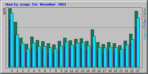 Hourly usage for November 2021