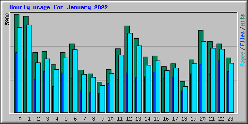 Hourly usage for January 2022