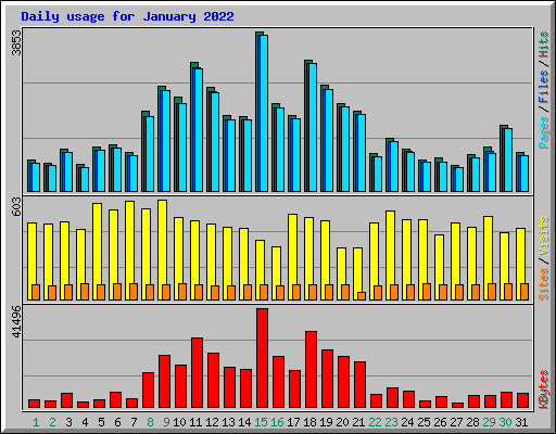 Daily usage for January 2022