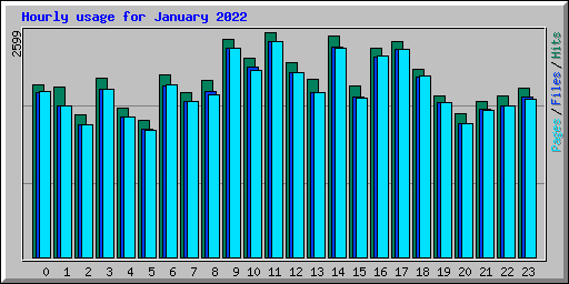 Hourly usage for January 2022