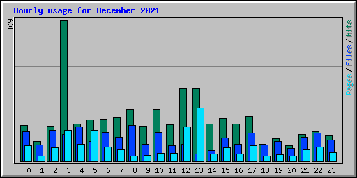 Hourly usage for December 2021