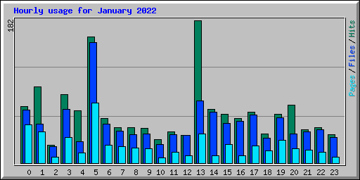 Hourly usage for January 2022