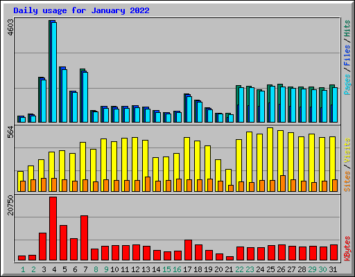 Daily usage for January 2022