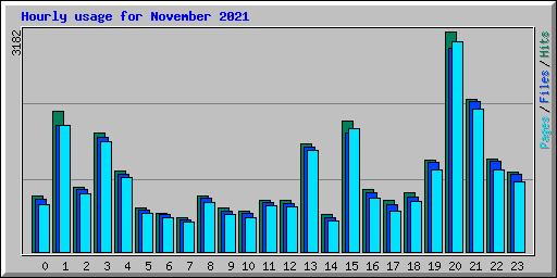 Hourly usage for November 2021