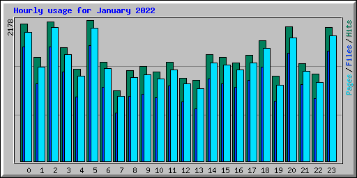 Hourly usage for January 2022